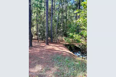 Tbd Browns Creek Church Road, Elizabethtown, NC 28337 - Photo 42