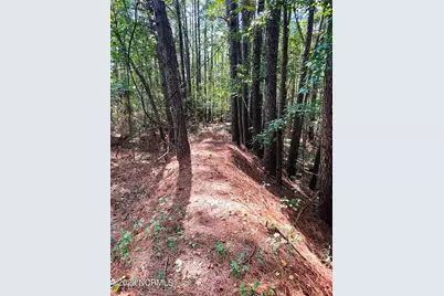 Tbd Browns Creek Church Road, Elizabethtown, NC 28337 - Photo 28