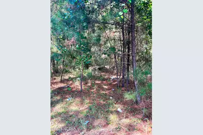 Tbd Browns Creek Church Road, Elizabethtown, NC 28337 - Photo 44