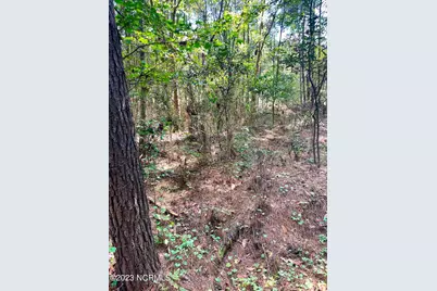 Tbd Browns Creek Church Road, Elizabethtown, NC 28337 - Photo 26