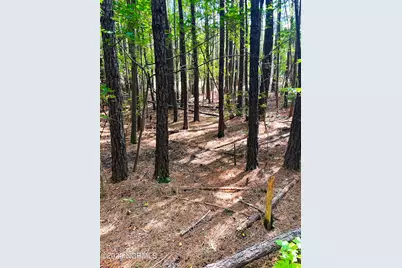 Tbd Browns Creek Church Road, Elizabethtown, NC 28337 - Photo 18