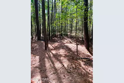 Tbd Browns Creek Church Road, Elizabethtown, NC 28337 - Photo 24