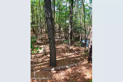 Tbd Browns Creek Church Road, Elizabethtown, NC 28337 - Photo 22