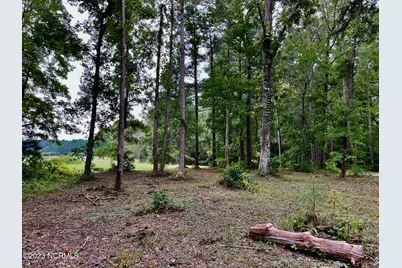 158 Fisher Turnpike Road, Arapahoe, NC 28510 - Photo 8