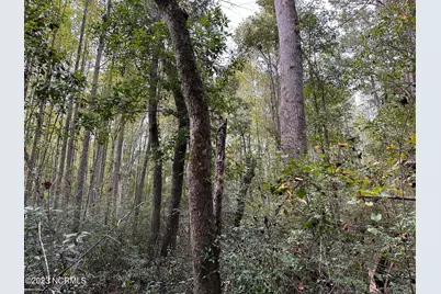 Tract 1 Matilda Drive, Lumberton, NC 28360 - Photo 6