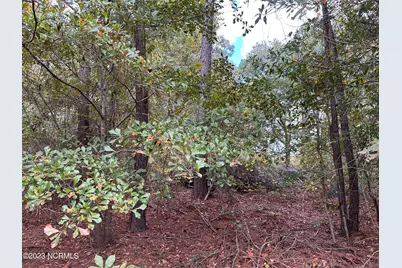 Tract 1 Matilda Drive, Lumberton, NC 28360 - Photo 2