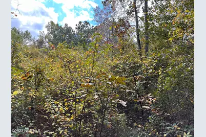 Tract 1 Matilda Drive, Lumberton, NC 28360 - Photo 4