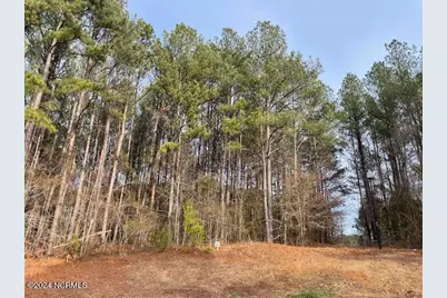 3326 Oak Leaf Drive, Rocky Mount, NC 27804 - Photo 2