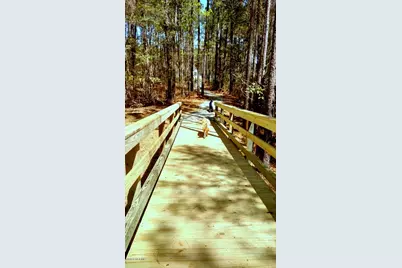 28 Palm Court, Minnesott Beach, NC 28510 - Photo 30