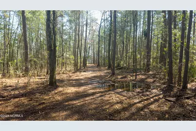 15 Alexander Drive, Belhaven, NC 27810 - Photo 8