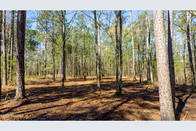 15 Alexander Drive, Belhaven, NC 27810 - Photo 12