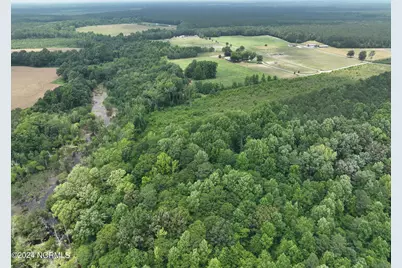 Tbd Soney Lane, Gatesville, NC 27938 - Photo 14