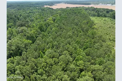 Tbd Soney Lane, Gatesville, NC 27938 - Photo 28