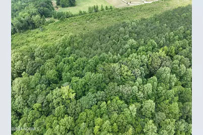 Tbd Soney Lane, Gatesville, NC 27938 - Photo 16