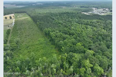Tbd Soney Lane, Gatesville, NC 27938 - Photo 10