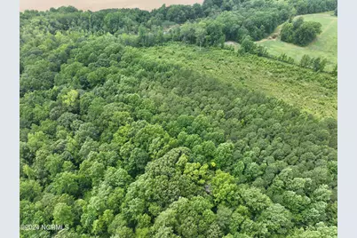 Tbd Soney Lane, Gatesville, NC 27938 - Photo 18