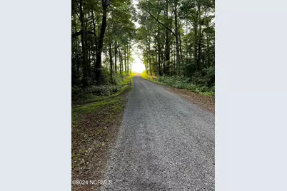Tbd Soney Lane, Gatesville, NC 27938 - Photo 2