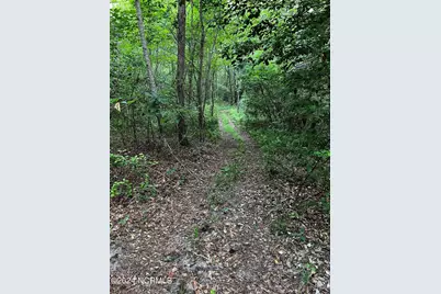 Tbd Soney Lane, Gatesville, NC 27938 - Photo 6