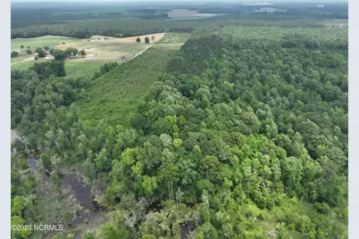 Tbd Soney Lane, Gatesville, NC 27938 - Photo 12