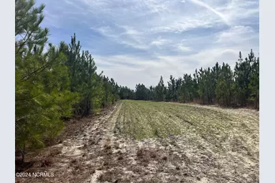 00 US 15/501, Pinehurst, NC 28374 - Photo 14