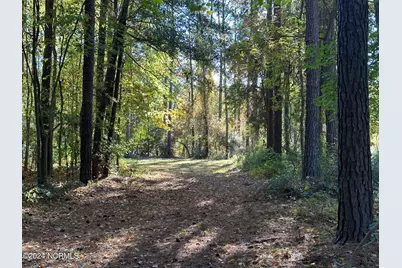 279 Mill Creek Lane, Bath, NC 27808 - Photo 12
