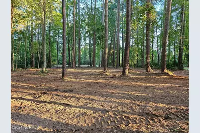279 Mill Creek Lane, Bath, NC 27808 - Photo 4