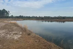 3506 Whitehall Rd, Whiteville, NC 28472 - Photo 2