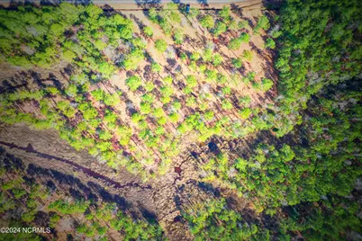 203 Paradox Point Drive, Aurora, NC 27806 - Photo 4