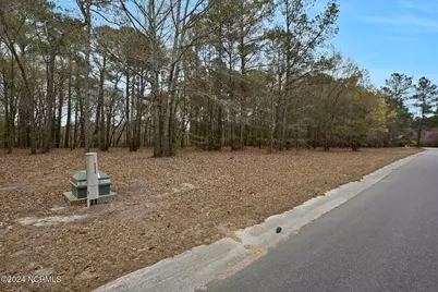 153 River Woods Drive, Wallace, NC 28466 - Photo 12
