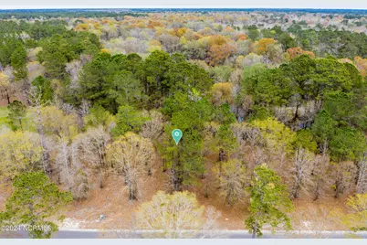 153 River Woods Drive, Wallace, NC 28466 - Photo 8