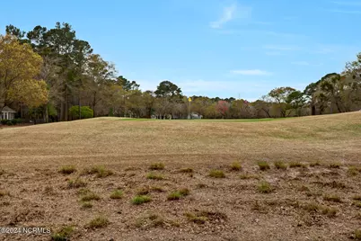 153 River Woods Drive, Wallace, NC 28466 - Photo 14