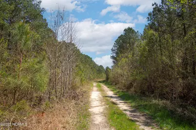 0 Gum Swamp Church Road, Greenville, NC 27834 - Photo 4