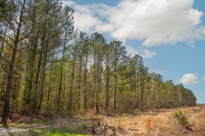 0 Gum Swamp Church Road, Greenville, NC 27834 - Photo 14