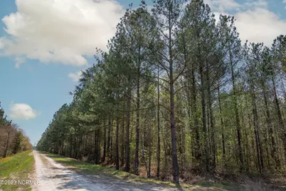 0 Gum Swamp Church Road, Greenville, NC 27834 - Photo 16