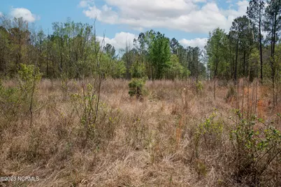 0 Gum Swamp Church Road, Greenville, NC 27834 - Photo 12