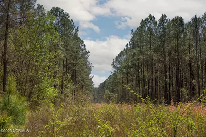 0 Gum Swamp Church Road, Greenville, NC 27834 - Photo 10