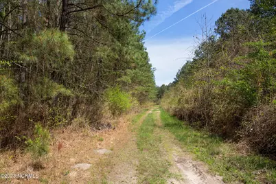 0 Gum Swamp Church Road, Greenville, NC 27834 - Photo 6