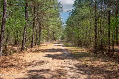 0 Gum Swamp Church Road, Greenville, NC 27834 - Photo 18
