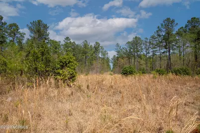 0 Gum Swamp Church Road, Greenville, NC 27834 - Photo 2