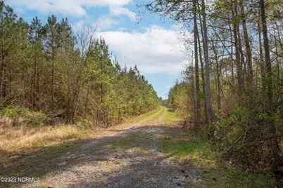 0 Nc-903, Stokes, NC 27884 - Photo 8