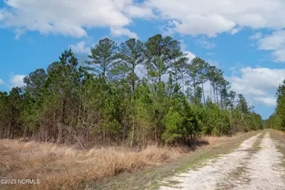 0 Nc-903, Stokes, NC 27884 - Photo 6