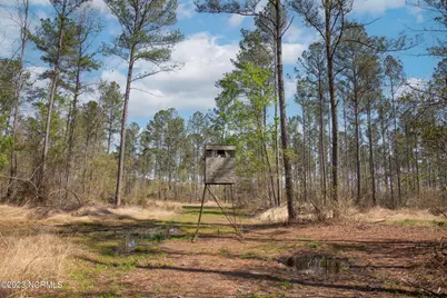 0 Nc-903, Stokes, NC 27884 - Photo 12