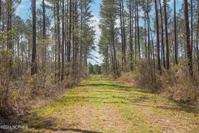 0 Nc-903, Stokes, NC 27884 - Photo 20