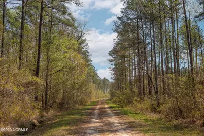 0 Nc-903, Stokes, NC 27884 - Photo 24