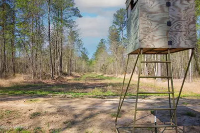 0 Nc-903, Stokes, NC 27884 - Photo 14