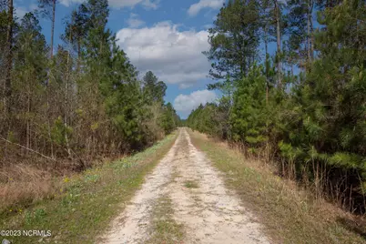 0 Nc-903, Stokes, NC 27884 - Photo 2