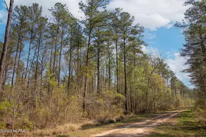 0 Nc-903, Stokes, NC 27884 - Photo 22