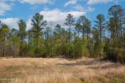0 Nc-903, Stokes, NC 27884 - Photo 26