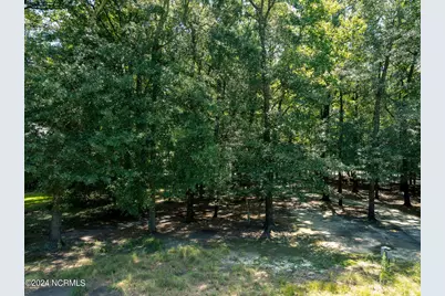 105 Legacy Oaks Drive, Wallace, NC 28466 - Photo 1