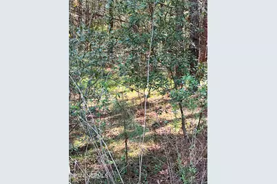 Lot 14 Treasure Cay Drive, Belhaven, NC 27810 - Photo 10